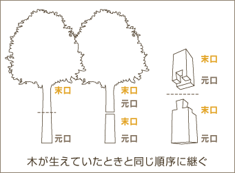 木が生えていたときと同じ順序に継ぐ